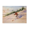 Wile E. Wood 20 x 14 in. Crousers Downhill Skier Wood Art DCDS-2014